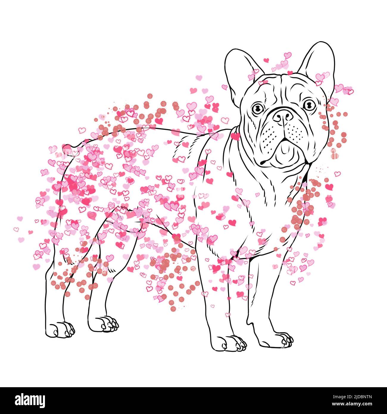Niedliche französisch Bulldogge Zeichnung. Isolierte Illustration mit dem süßen Hund. Stockfoto
