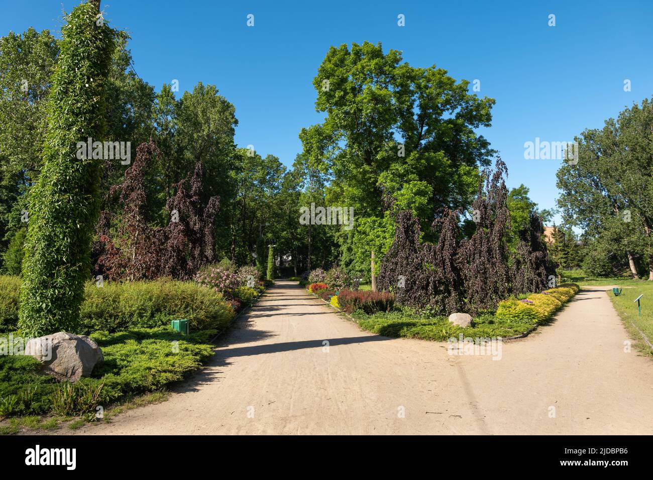Park Marii Konopnickiej in der Stadt Ciechanow, Masovia, Polen. Stockfoto