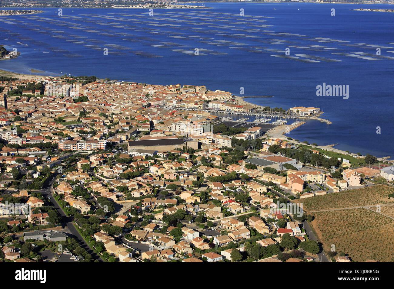 Frankreich, Hérault, Mèze, die mediterrane Hafenstadt, gelegen am Ufer des Etang de Thau mit seinen Parks hat Muscheln, (Luftaufnahme) Stockfoto