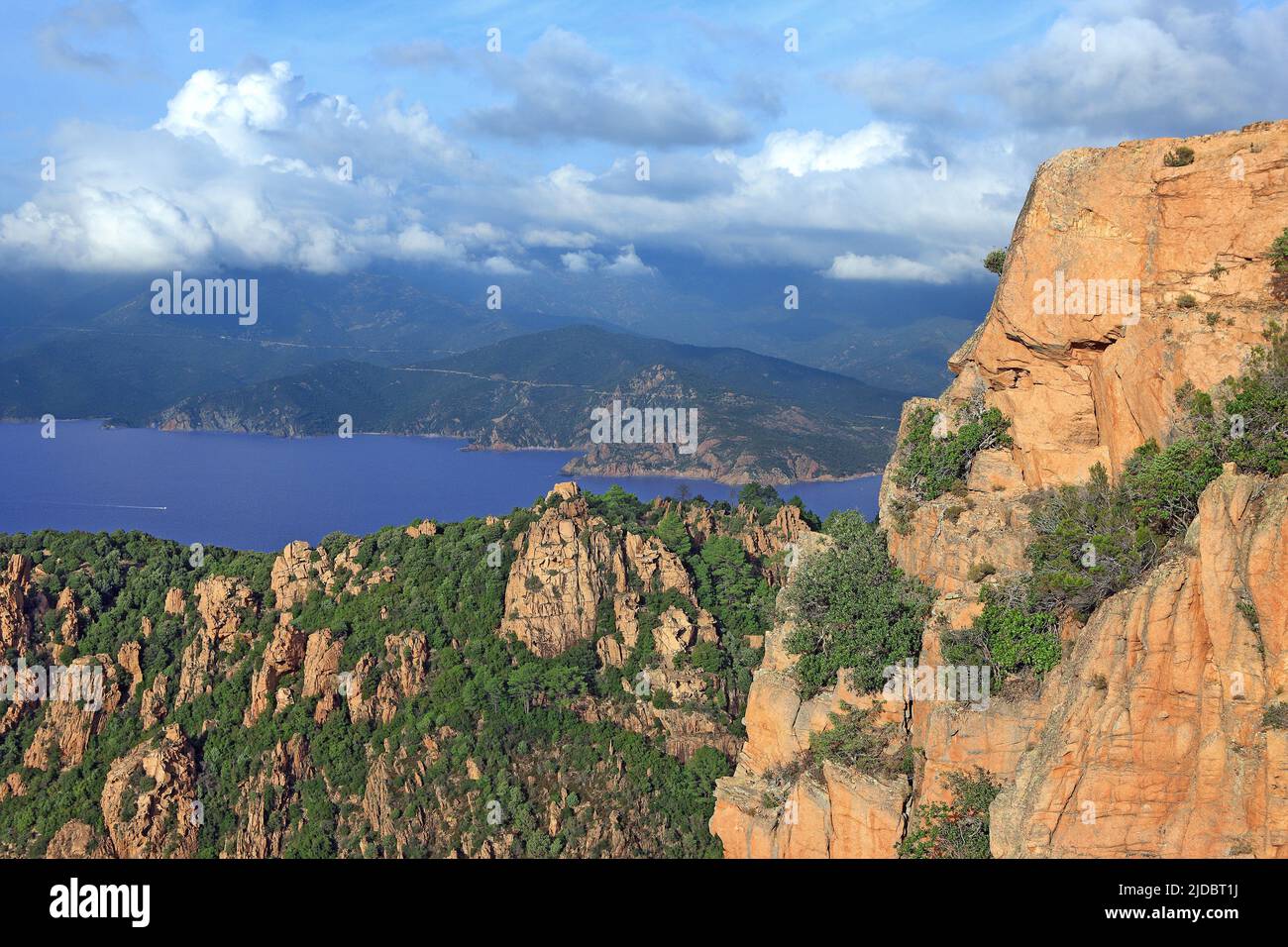 Frankreich, Korsika Piana, die Calanches, der Golf von Porto, Naturgebiet in Corse-du-Sud Stockfoto