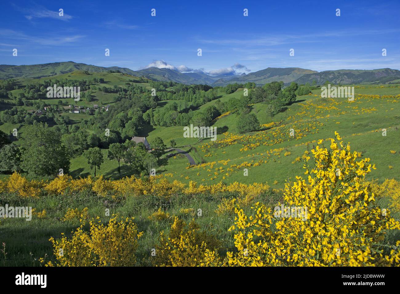 Frankreich, Cantal Mandailles-Saint-Julien, Landschaften der Cantal-Berge im Frühling Stockfoto