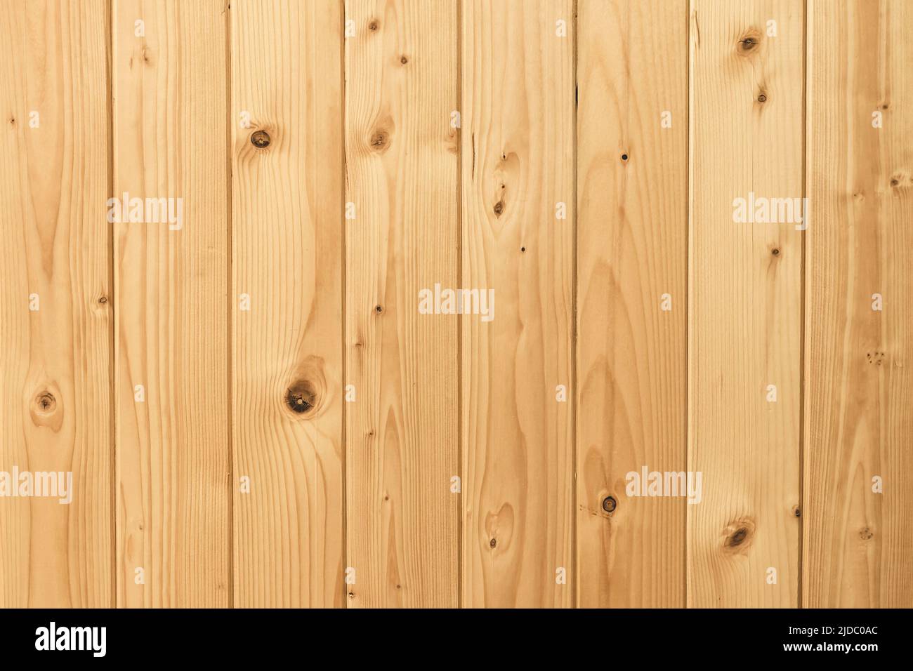 Oberfläche aus weißem Kiefernholz. Hintergrund mit Struktur aus Holz. Holz Textur Hintergrund, Eiche Holz Wandzaun. Hintergrund mit heller Holzplanke. Weiß woo Stockfoto