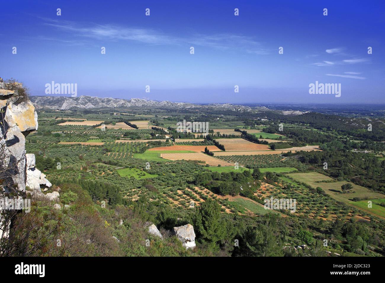 Frankreich, Bouches-du-Rhône Landschaft der Ebene von Les Baux, Oliven Pflanzen Stockfoto