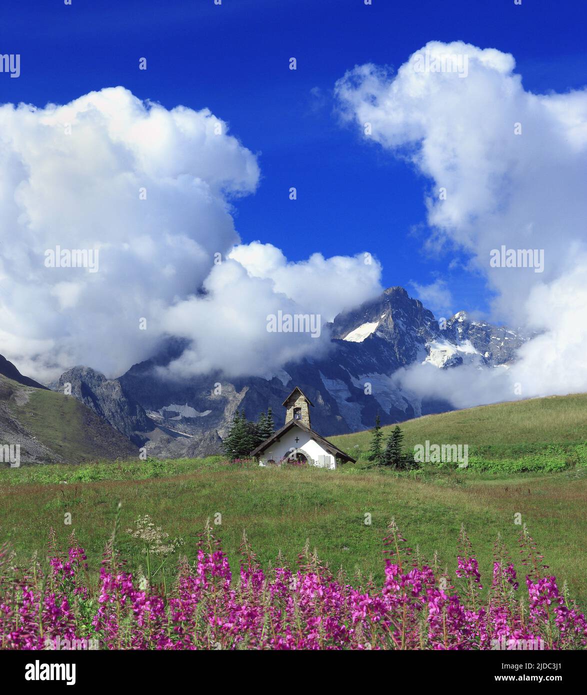 Frankreich, Hautes-Alpes Col du Lautaret, kleine Bergkapelle, Epilobes Stockfoto