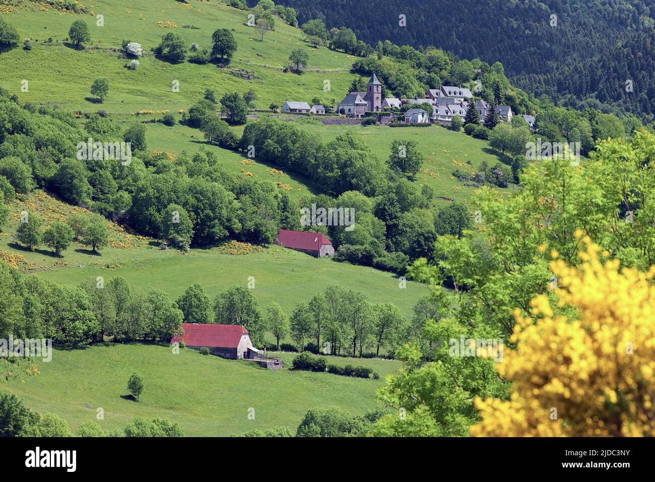 Frankreich, Cantal le FAU, Landschaften der Cantal-Berge, Land der Salers Stockfoto
