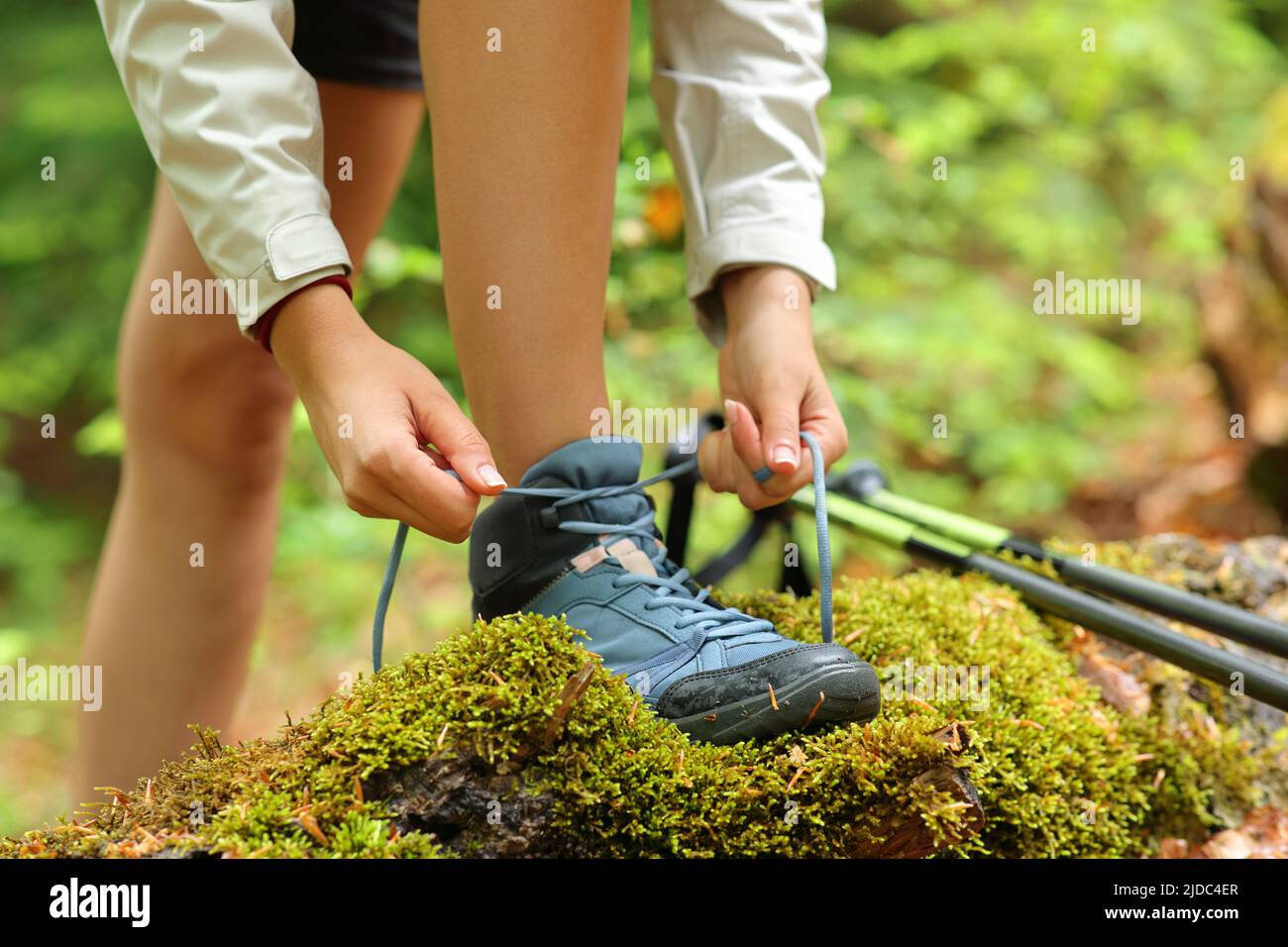 Nahaufnahme eines Trekkers, der Schuhbänder von Stiefeln in einem Wald bindet Stockfoto