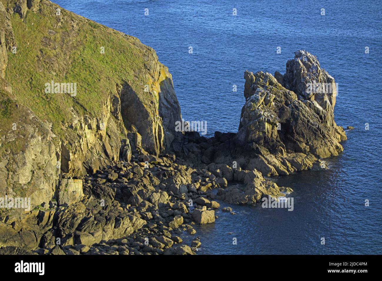 Frankreich, Cotentin Cap de la Hague, Nez de Jobourg, klassifizierter Standort, natürlicher Standort von europäischem Interesse Stockfoto