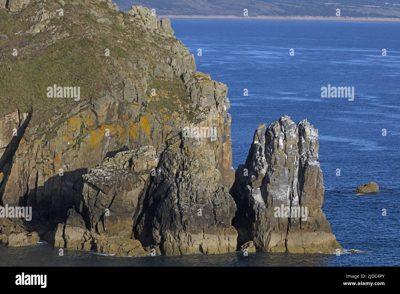 Frankreich, Cotentin Cap de la Hague, Nez de Jobourg, klassifizierter Standort, natürlicher Standort von europäischem Interesse Stockfoto