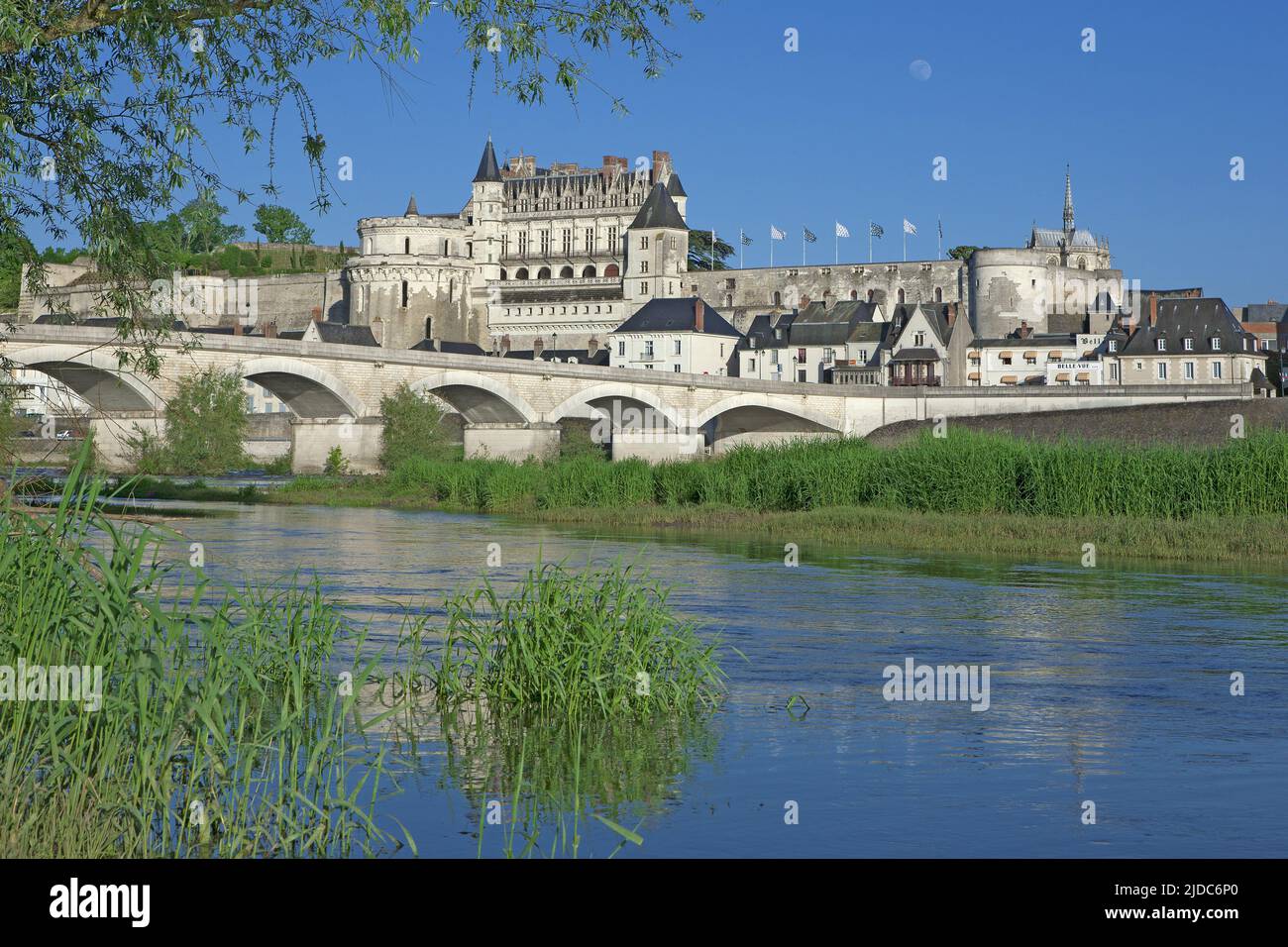 Frankreich, Indre-et-Loire Amboise, das Schloss und die Stadt vom Ufer der Loire Stockfoto