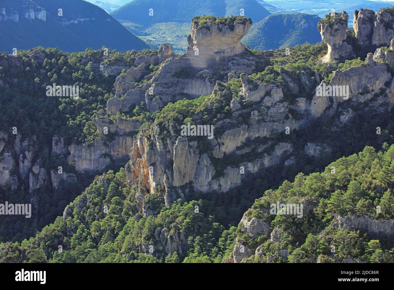 Frankreich, Aveyron Le Rosier, Landschaft der Jonte-Schluchten, Klippen und ruiniforme Felsen Stockfoto