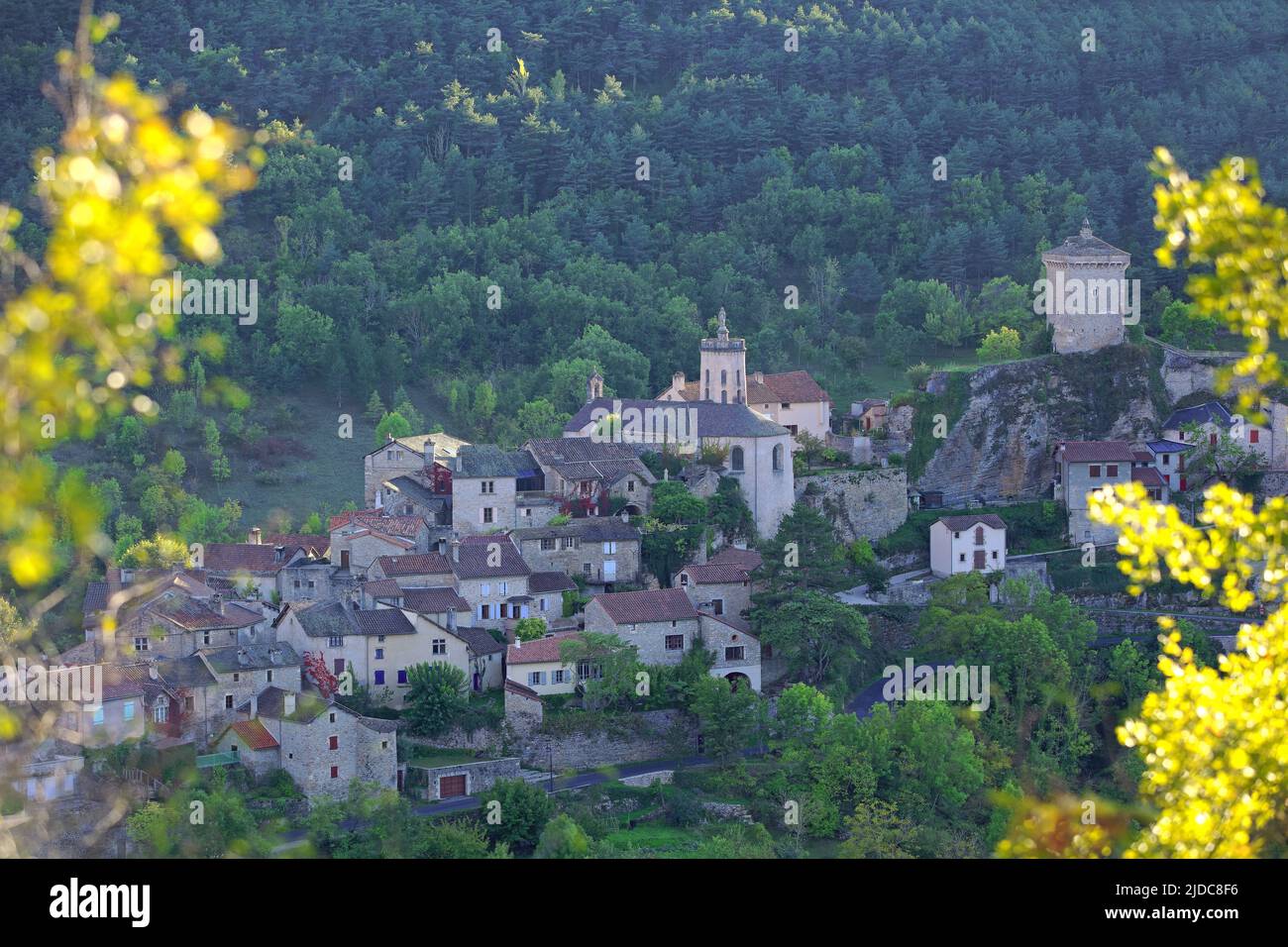 Frankreich, Aveyron Peyreleau, Dorf der Gorges du Tarn, lehnt sich gegen die schwarze causse Stockfoto