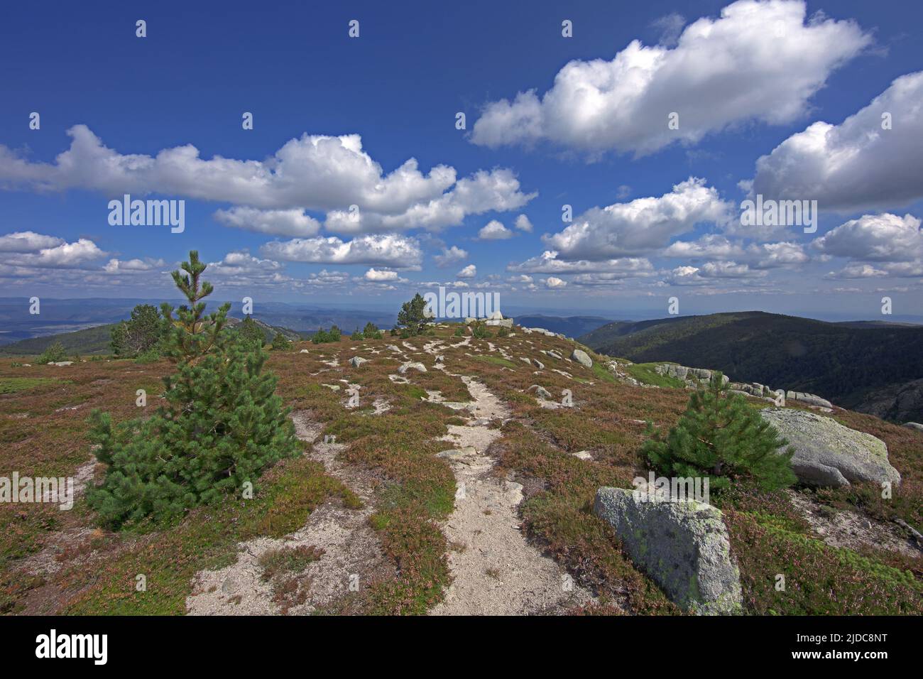 Frankreich, Gard Génolhac, Mont Lozere, Felsen des Adlers, blühende Landschaft Stockfoto