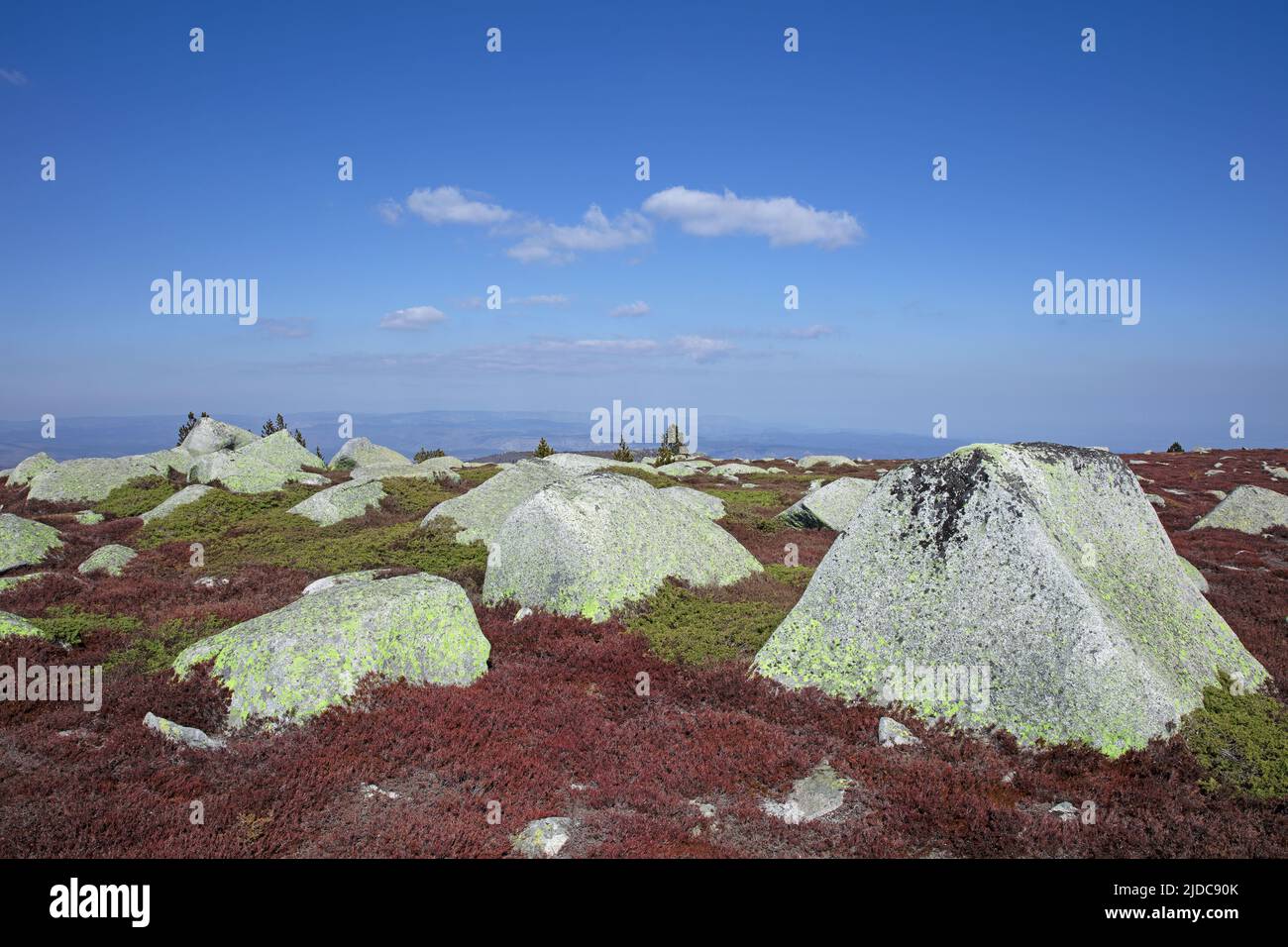Frankreich, Lozère Mont-Lozere, das mit Granitchaos bedeckte Hochland, Nationalpark Cevennes Stockfoto