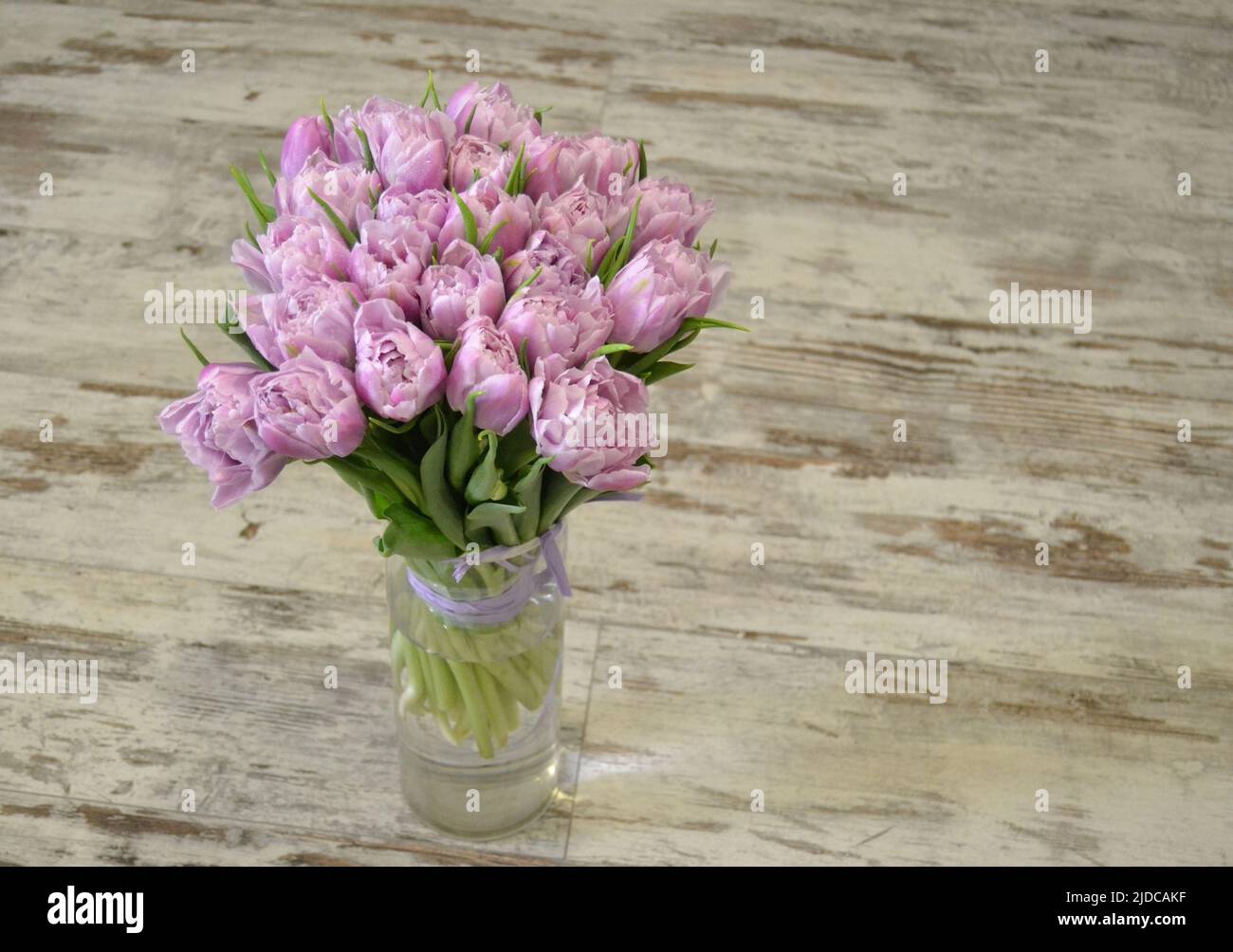 Nahaufnahme Detail von frischen schönen Geschenk von zarten violetten Pfingstrosen Tulpen Bouquet und Papier Geschenktüte mit romantischer Schleife. Hochzeitsfeier oder Jubiläumsfeier Stockfoto