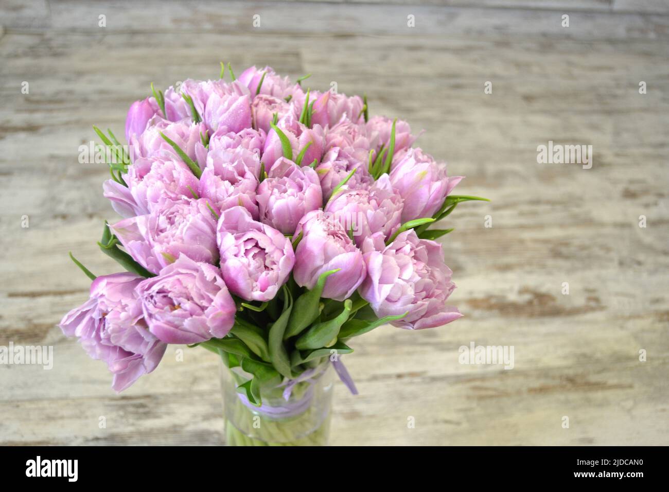 Nahaufnahme Detail von frischen schönen Geschenk von zarten violetten Pfingstrosen Tulpen Bouquet und Papier Geschenktüte mit romantischer Schleife. Hochzeitsfeier oder Jubiläumsfeier Stockfoto