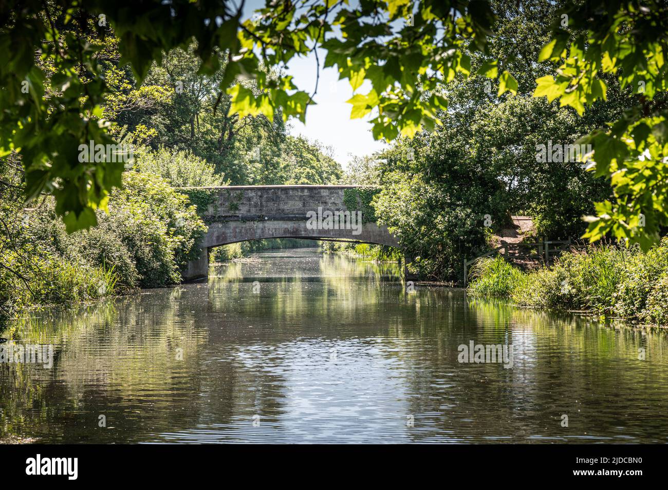 Blick auf eine Brücke über den Fluss Itchen in Ovington, Hampshire, Großbritannien an einem hellen, sonnigen Tag. Stockfoto