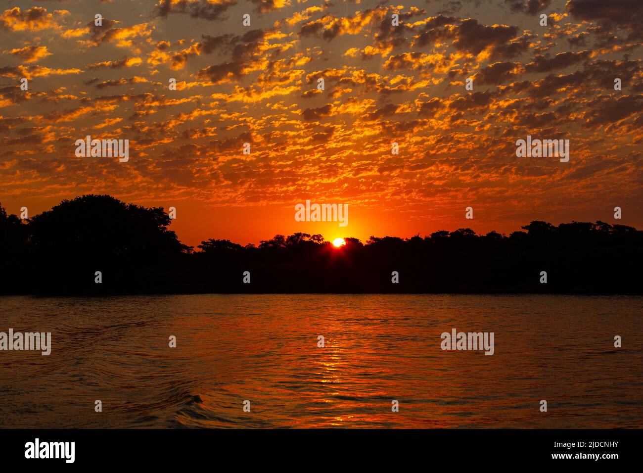 Wunderschöner Sonnenuntergang im nördlichen Pantanal, den größten Feuchtgebieten der Welt. Wildes brasilien, brasilianische Tierwelt und Natur, atemberaubende Landschaft, Flussufer. Stockfoto