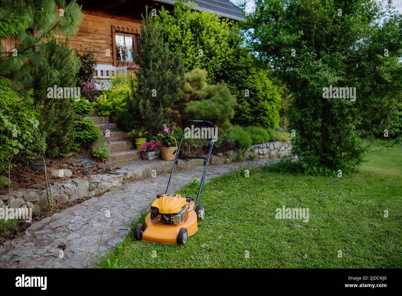 Rasenmäher im Garten, Gartenarbeit Konzept. Stockfoto