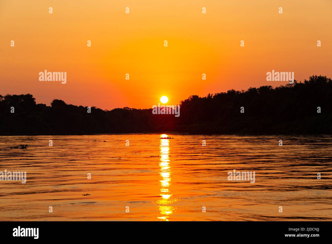 Wunderschöner Sonnenuntergang im nördlichen Pantanal, den größten Feuchtgebieten der Welt. Wildes brasilien, brasilianische Tierwelt und Natur, atemberaubende Landschaft, Flussufer. Stockfoto