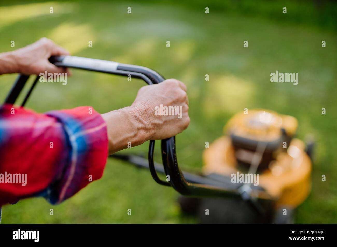 Nahaufnahme einer älteren Frau, die mit einem Rasenmäher im Garten Gras mäht, Konzept für Gartenarbeit. Stockfoto