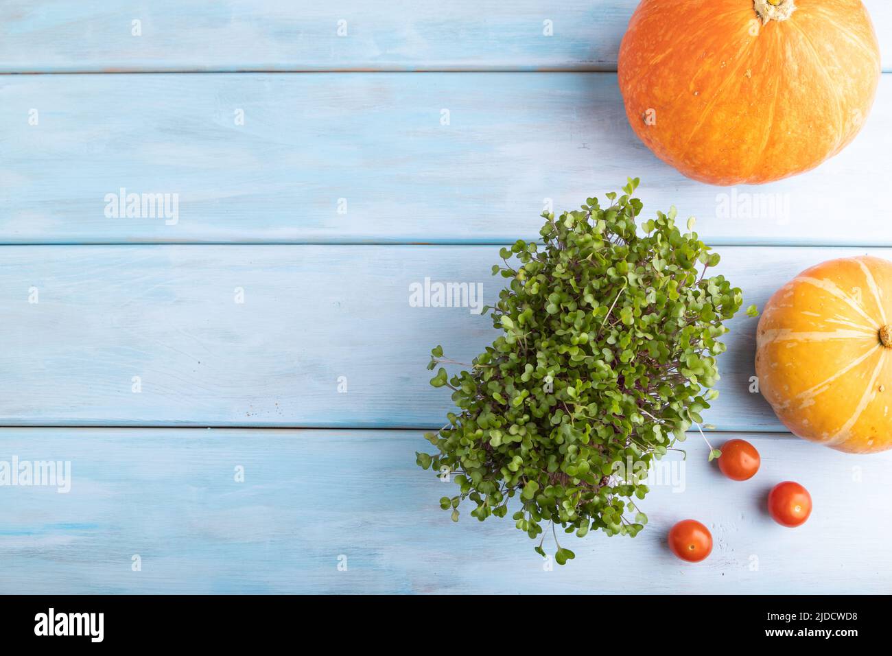 Mikrogrüne Sprossen aus Kohlrabi-Kohl mit Kürbis auf blauem Holzhintergrund. Draufsicht, flach liegend, Kopierbereich. Stockfoto