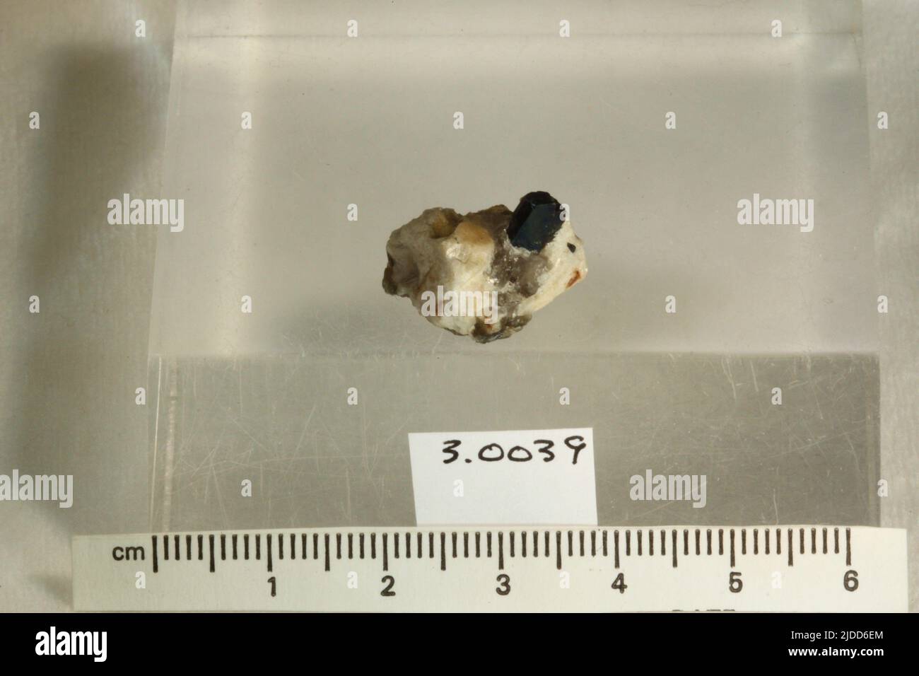 Columbit. Mineralien. Nordamerika; USA; Connecticut; Middlesex County; Middletown Stockfoto