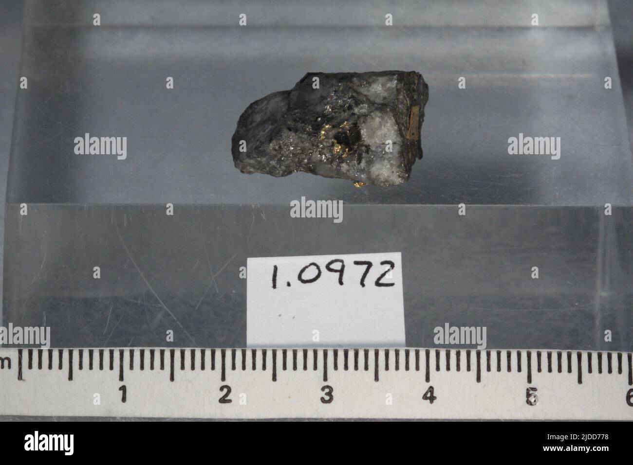 Petzit. Mineralien. Nordamerika; USA; Kalifornien; Tuolumne County; Poverty Hill, Golden Rule Mine Stockfoto