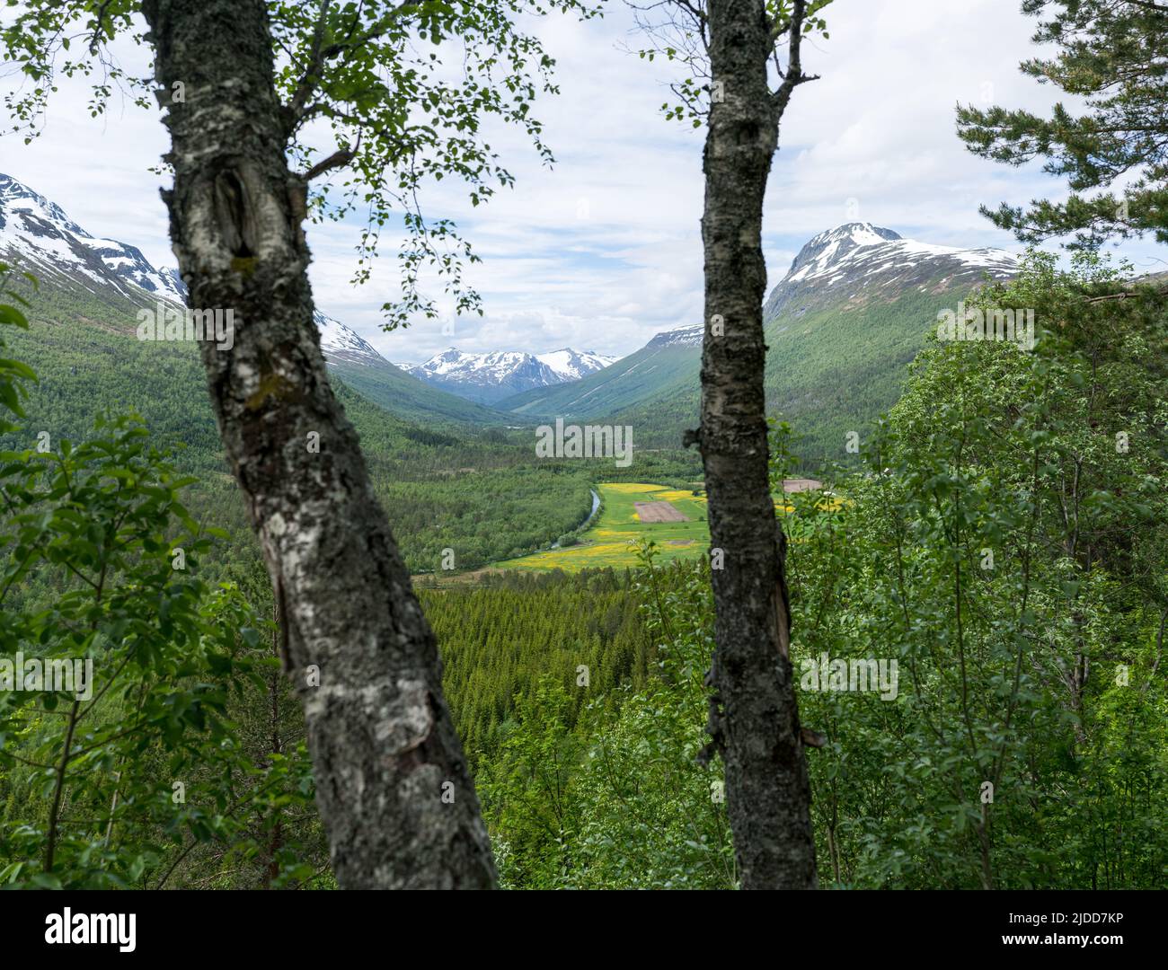 Innerdalen, Norwegen, Europa Stockfoto