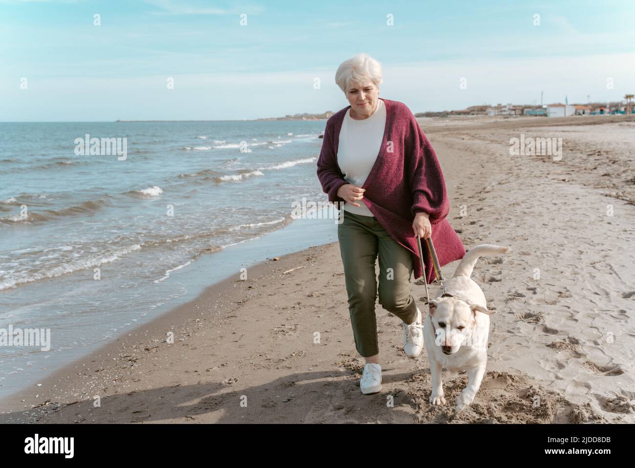 Grauhaarige Hündin, die mit ihrem Hund am Meer läuft Stockfoto