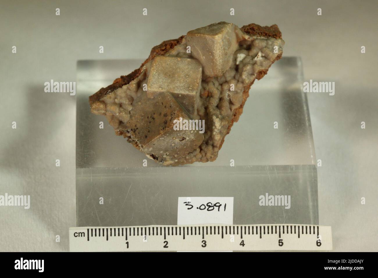 Smithsonit. Mineralien. Nordamerika; USA; Wisconsin; Lafayette County; Shullsburg Stockfoto