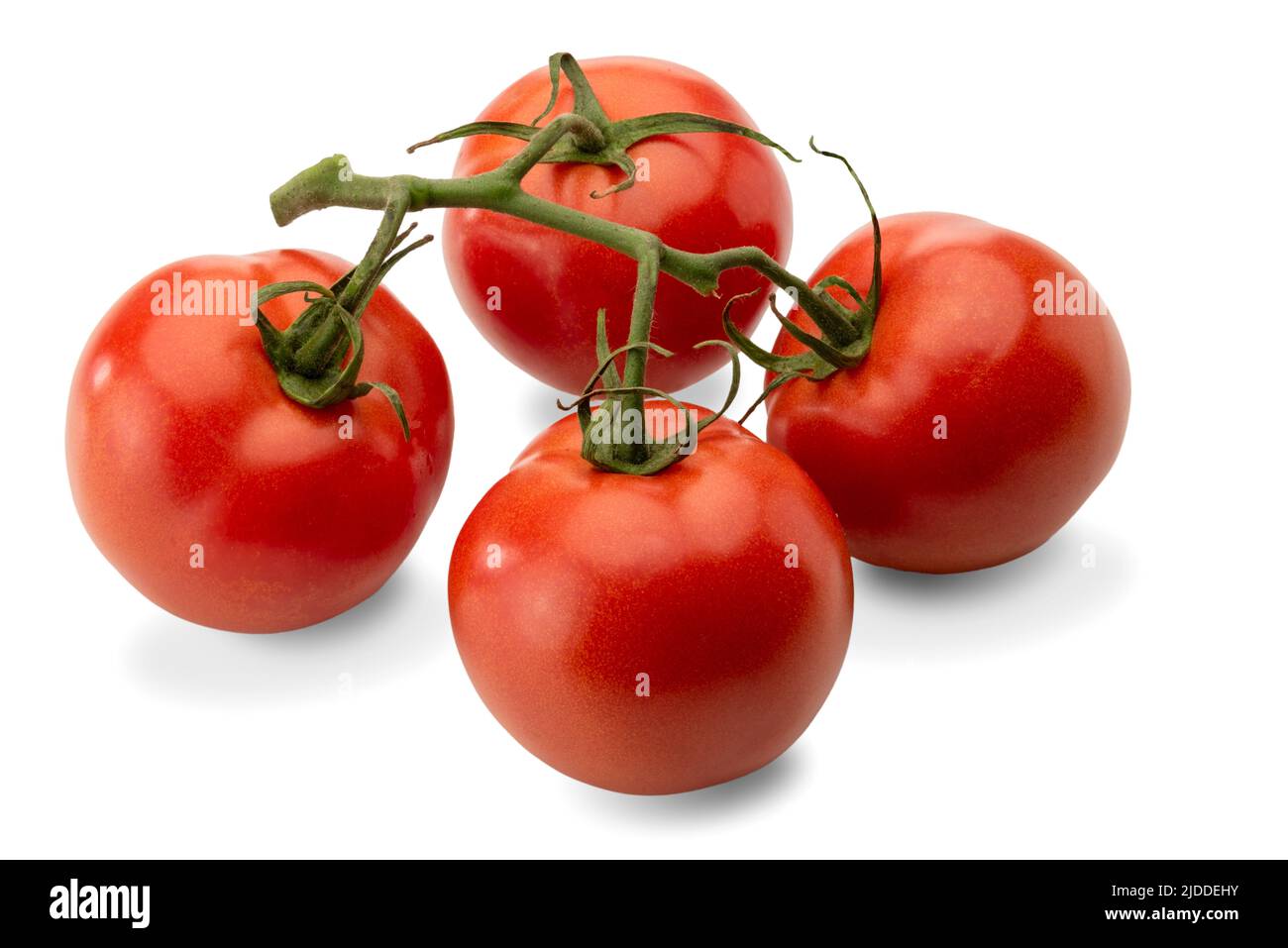 Sizilianische glatte runde Tomate Kupfer in Clusters isoliert auf weißen, Schnittpfad geneigt Stockfoto