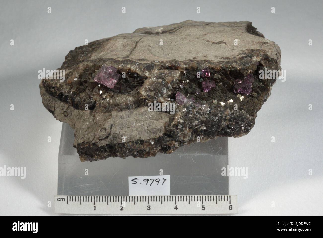 Fluorit. Mineralien. Nordamerika; USA; Ohio; Siderite Stockfoto