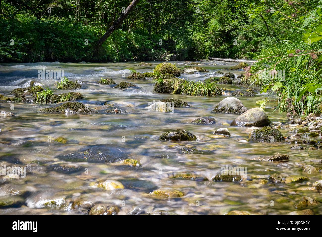 Fluss durch die Weißbachschlucht in Bayern Deutschland Stockfoto