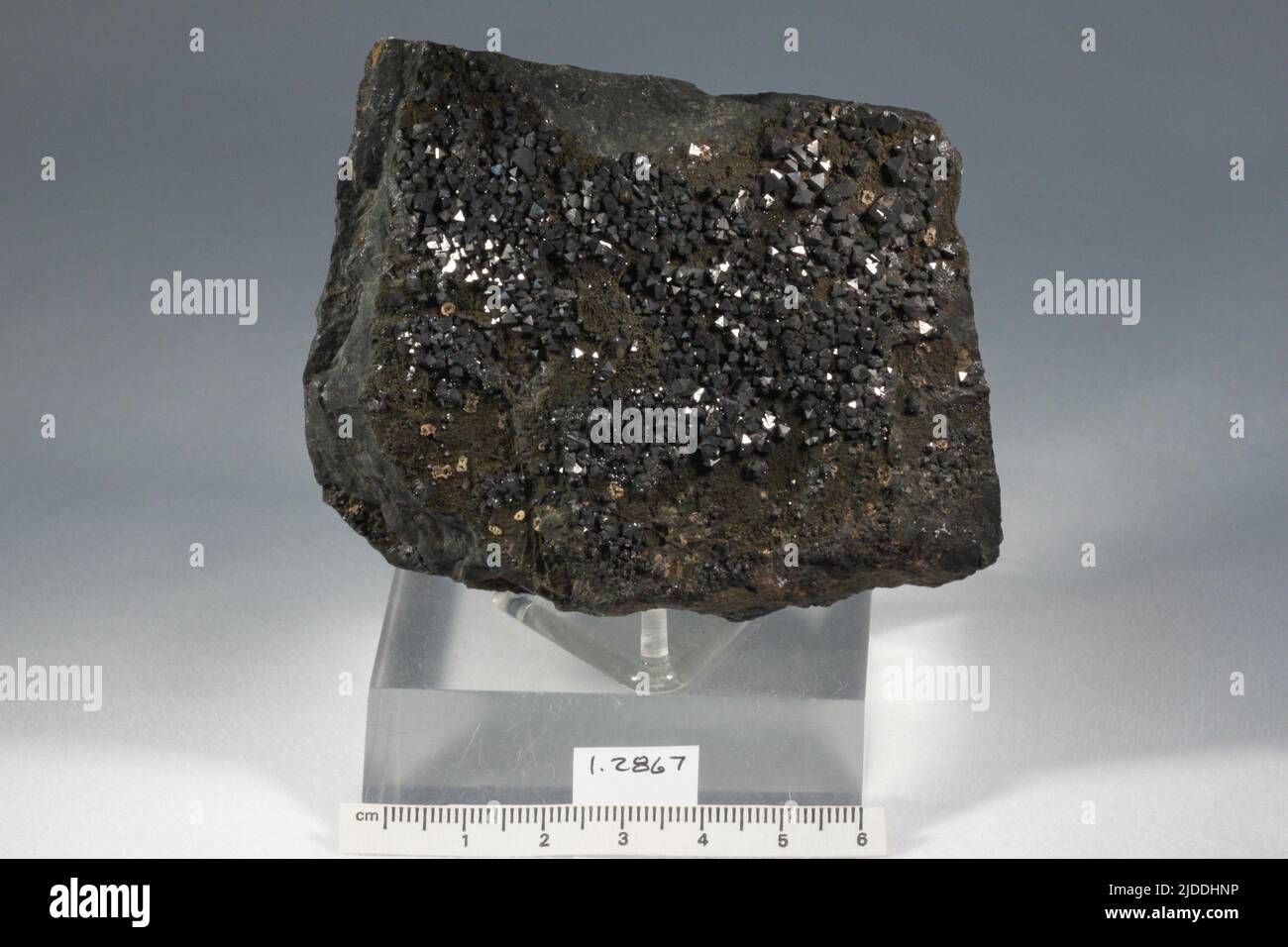 Magnetit. Mineralien. Nordamerika; USA; New York; Orange County; Monroe Stockfoto