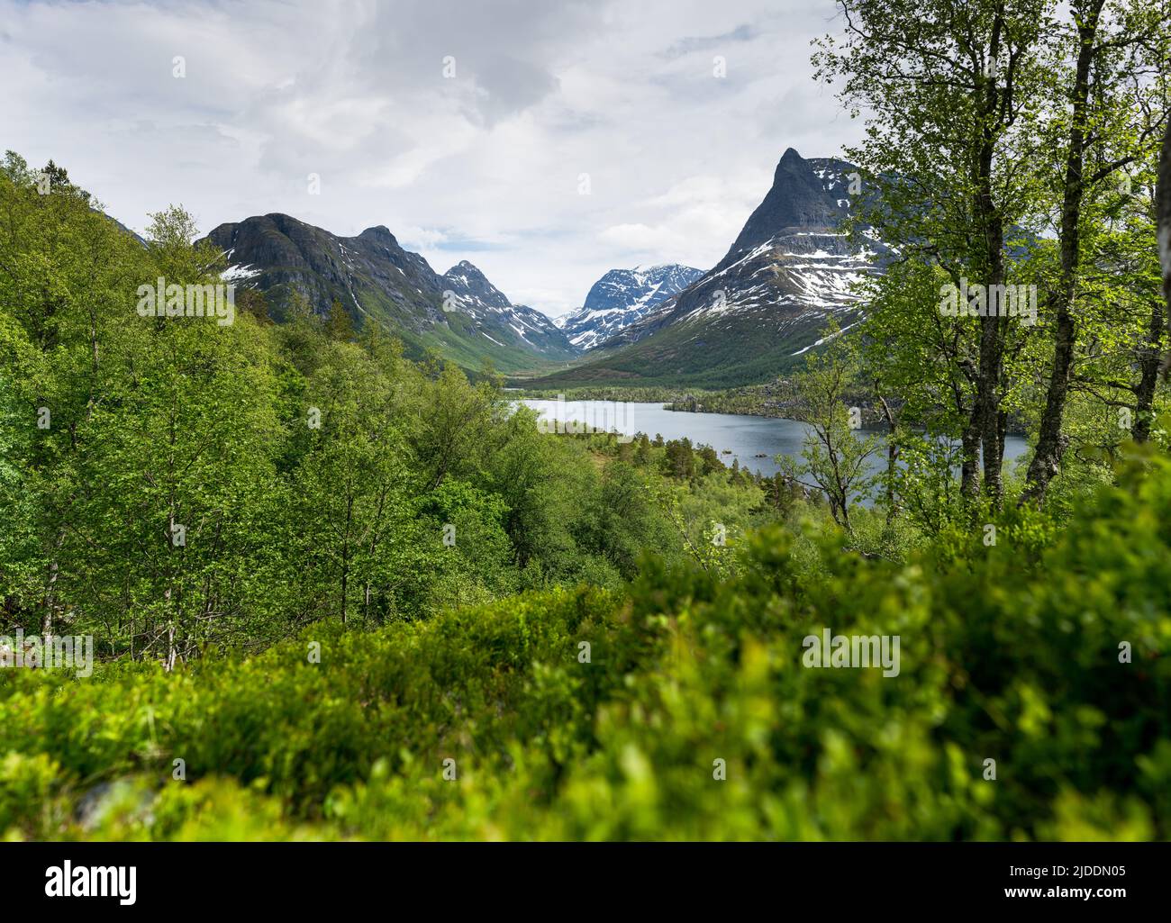 Innerdalen, Norwegen, Europa Stockfoto