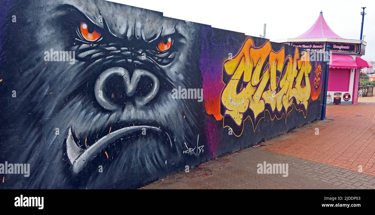 Willkommen auf Barry Island Graffiti Art, Barry Island, Vale of Glamorgan, Cymru, Wales, UK, CF62 5TJ Stockfoto