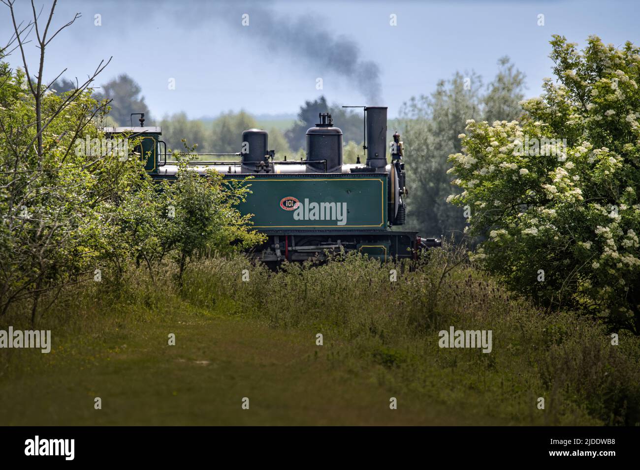 Train de la baie de Somme, Lokomotive à vapeur Stockfoto