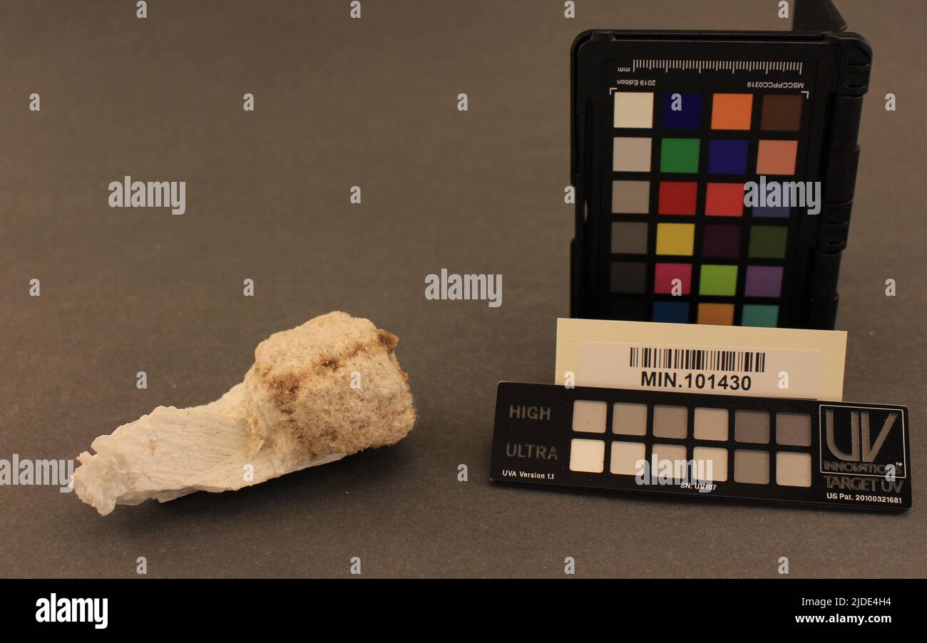 Fluorit. Mineralien. Nordamerika; USA; Ohio; Ottawa County; Clay Center; Steinbruch Des Weißen Felsens. Nördlicher Rand des Clay Center Stockfoto