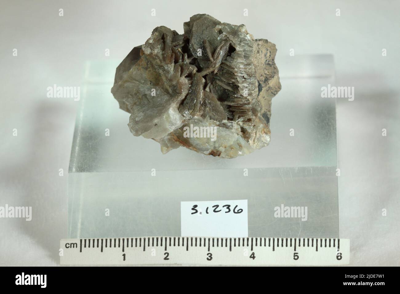 Scheelit. Mineralien. Europa; Tschechoslowakei; Böhmen, Zinnwald Stockfoto