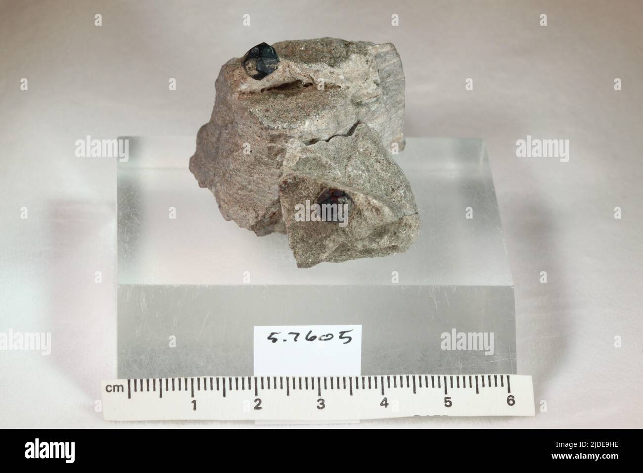 Spessartine. Mineralien. Nordamerika; USA; Colorado; Chaffee County; Nathrop Stockfoto