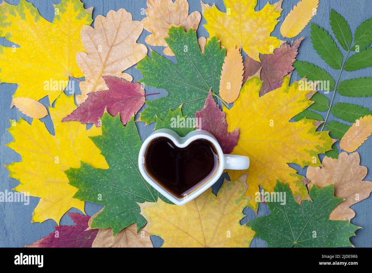 Weißer Becher in Herzform mit Kaffee oder Tee auf dem Hintergrund herbstlich gefallener trockener, farbenprächtiger Blätter, Draufsicht, flaches Lay. Herbstfrühstück. Stockfoto