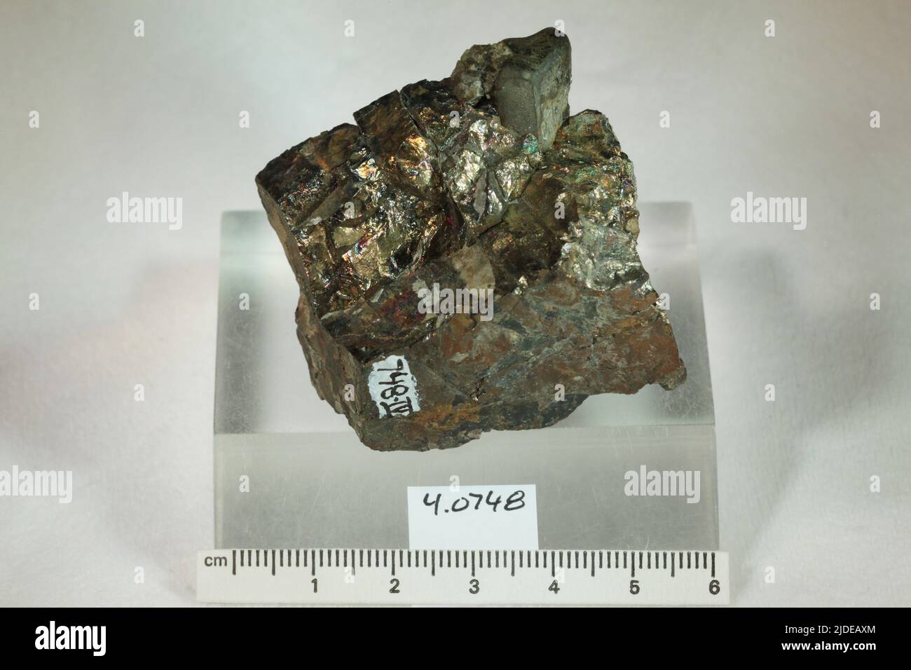 Apatit. Mineralien. Nordamerika; USA; New York; Essex County; New Russia; 3 km von SSE of New Russia in der Nähe des Lincoln Pond Stockfoto