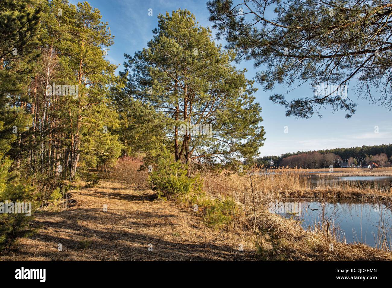 Landschaft mit Virlya See im Wald. Welyki Bereschzi, Kremenez, Region Ternopil, Ukraine. Stockfoto