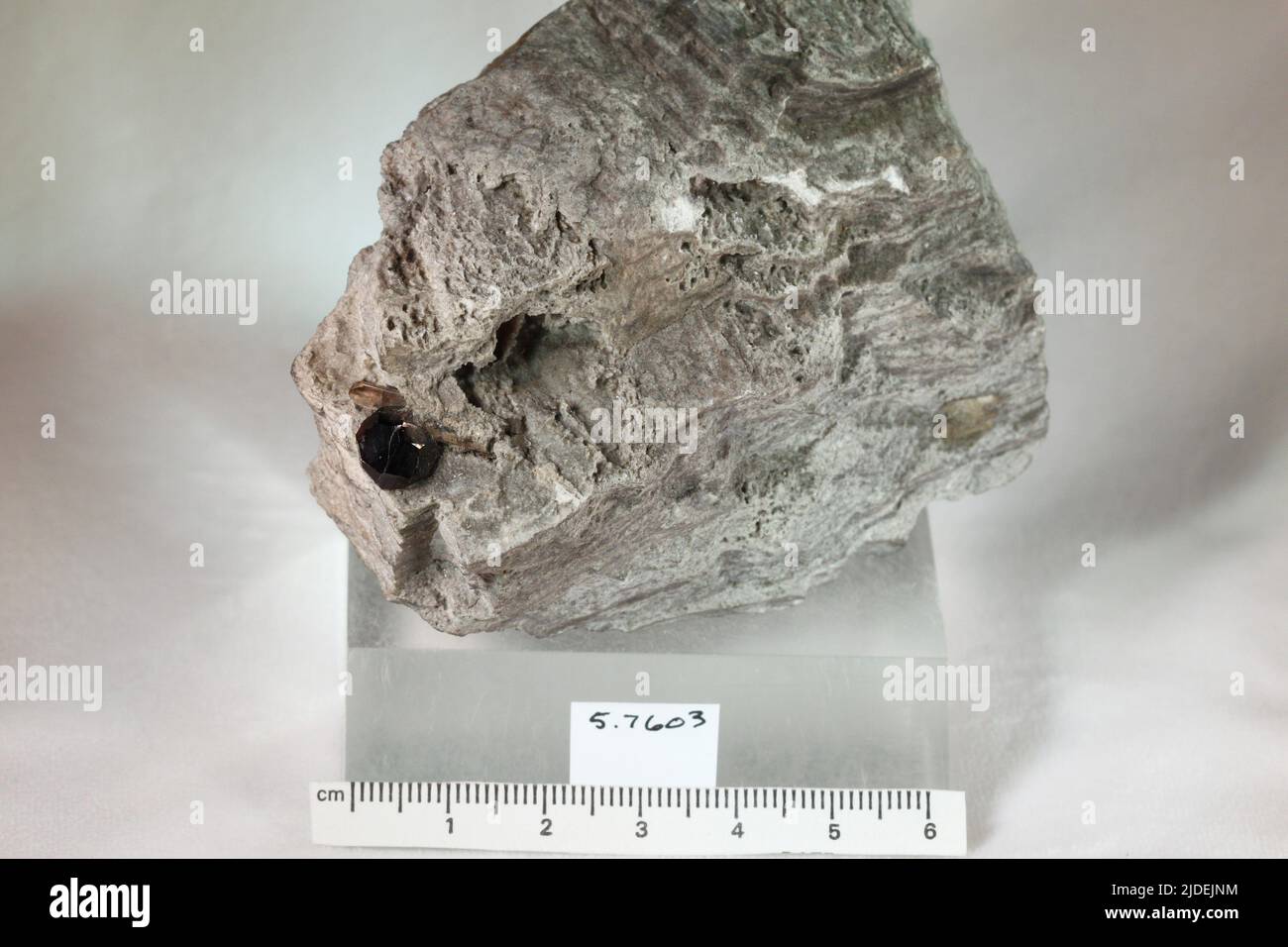 Spessartine. Mineralien. Nordamerika; USA; Colorado; Chaffee County; Nathrop Stockfoto