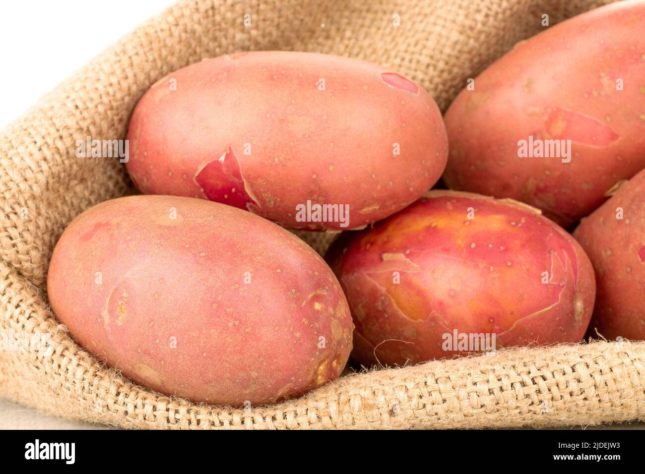 Mehrere Bio-rosa Kartoffeln in einem Jutebeutel, Nahaufnahme. Stockfoto