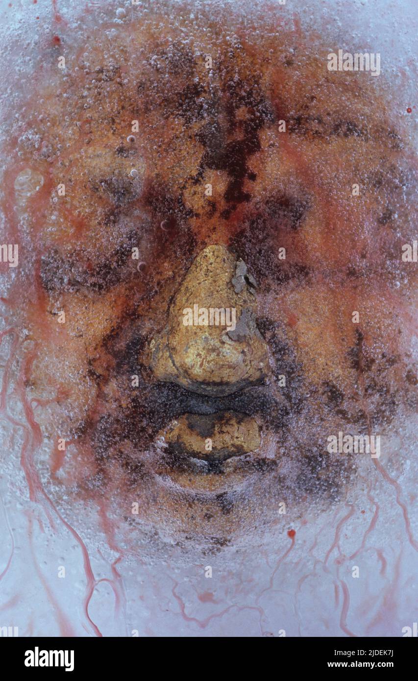 Nahaufnahme des Lehmmodells von mans Gesicht mit Schlamm bedeckt und in Eis mit Nieten von Blut auf der Oberfläche gefangen Stockfoto