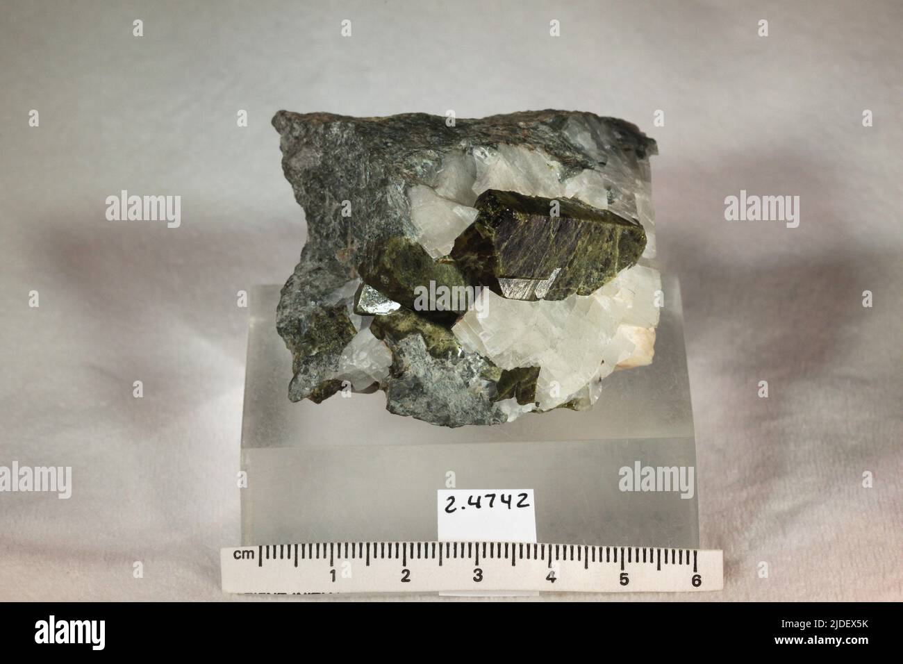 Epidot. Mineralien. Nordamerika; USA; Colorado; Chaffee County Stockfoto