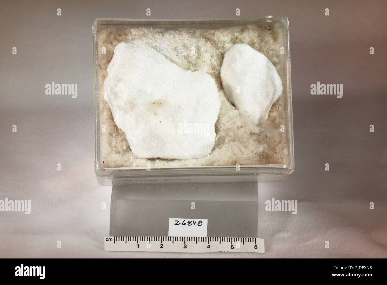 Thaumasit. Mineralien. Nordamerika; USA; Virginia; Fairfax County; Centerville; Fairfax Quarry Stockfoto