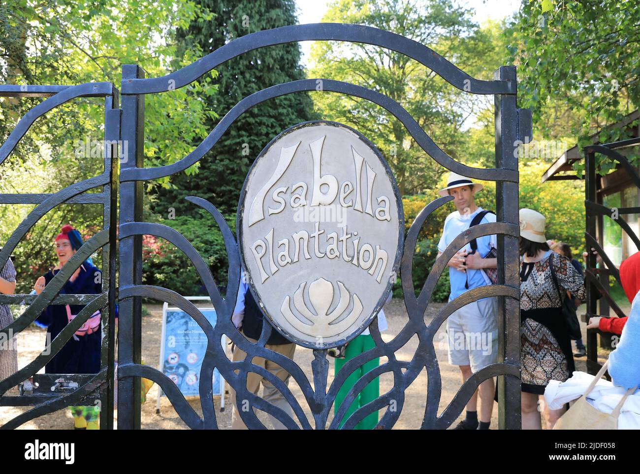 Frühling in Isabella Plantation, im Richmond Park, SW London, Großbritannien Stockfoto