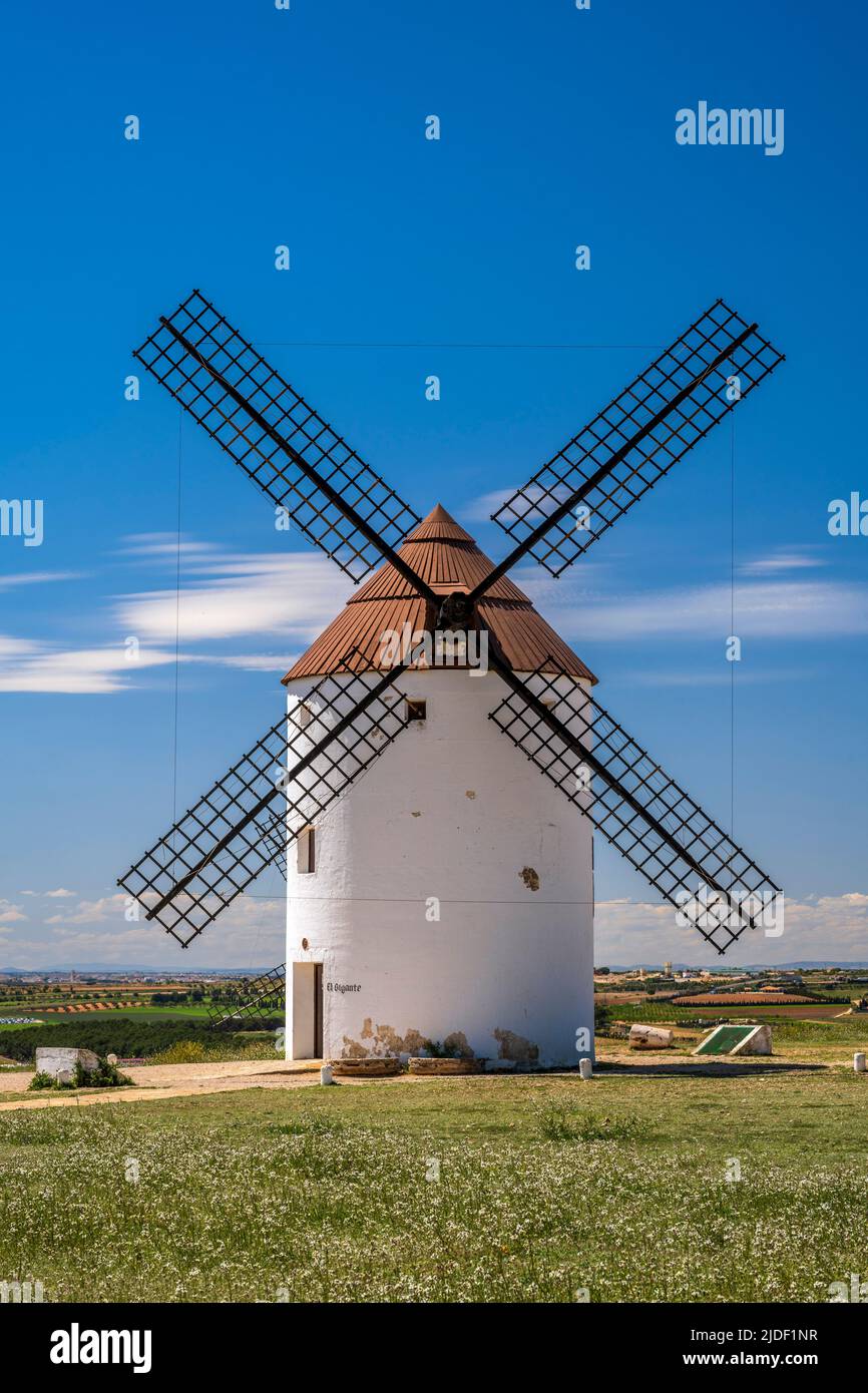 Typische Windmühle, Mota del Cuervo, Castilla-La Mancha, Spanien Stockfoto